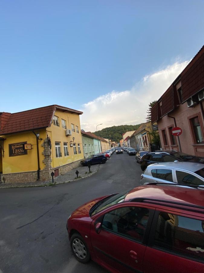 ホテル Casa Pino ブラショフ エクステリア 写真