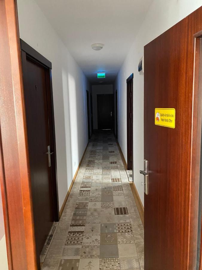 ホテル Casa Pino ブラショフ エクステリア 写真